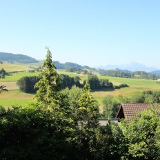 d.img_5480