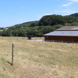 Terrains à bâtir Prévondavaux (Lucens)