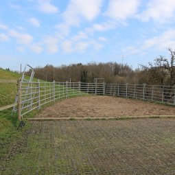 Guin/Düdingen: Ferme avec stabulation pour chevaux