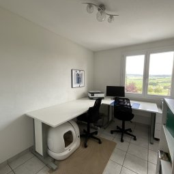 Villa individuelle Villaz / Lussy
