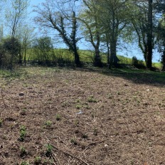 terrain
