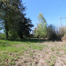 terrain1