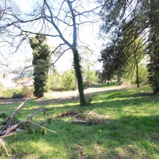 terrain2