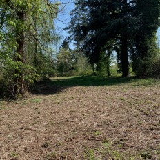 terrain3