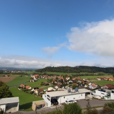 vue1